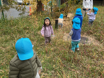 おちば、みーつけた！