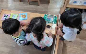 新しい　なかま