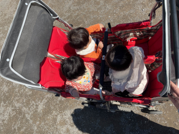 お散歩デビュー