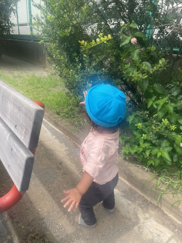 お散歩へ！！